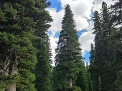 -新疆那拉提国家旅游度假区
