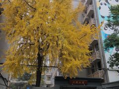 -奎星楼街