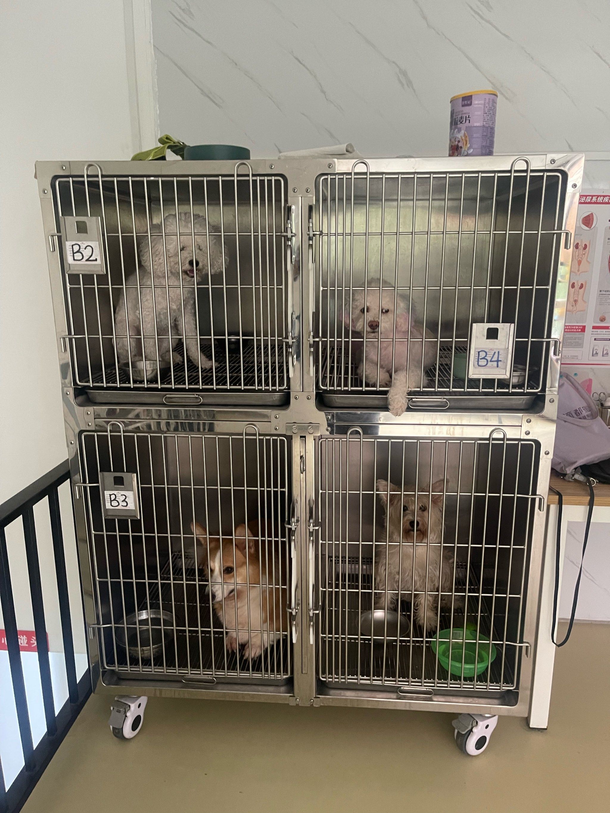 关于北大医院、朝阳区贩子联系方式_全天在线急您所急的信息