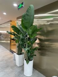 -DX HAIR SALON·发现未知美发沙龙