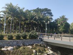 -深圳湾公园(南山区)
