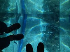 -暹罗海洋世界