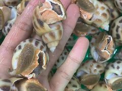 -新欢海鲜坊(赖屋店)
