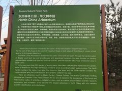 -东郊湿地公园