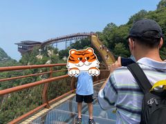 -少华山国家森林公园