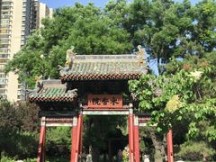 -迎泽公园