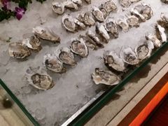 -壹号港湾