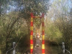 -溱湖国家湿地公园