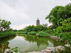 -西海子公园