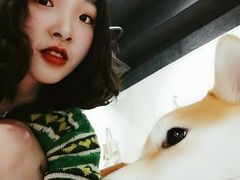 -柴务处·柴犬主题狗咖