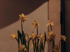 -荷兰布尔玛国际花艺学院