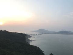 -长岛万鸟岛