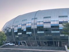 -广西体育中心-游泳馆