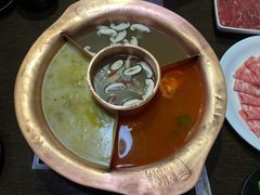 -老诚一锅羊蝎子(黄寺大街店)