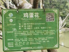 -广西壮族自治区药用植物园