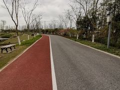 -上海长兴岛郊野公园