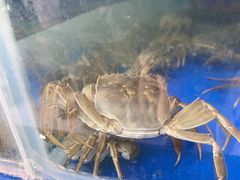 -阳澄湖大闸蟹·琼灵阁牌品牌连锁(吴中总店)