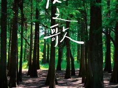 -大蜀山国家森林公园