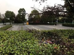 -上海欢乐谷-停车场