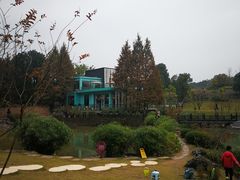 -铁山坪森林公园