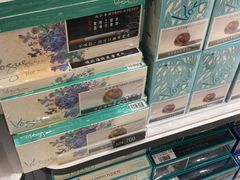 -升恒昌免税商店(台北松山机场店)