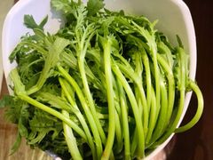 -同仁四季椰子鸡(宝安壹方城店)