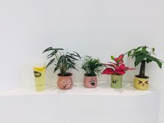 -艾薯夫妇Aysh(福田星河COCOPark店)