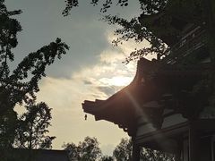 -洋湖国家湿地公园