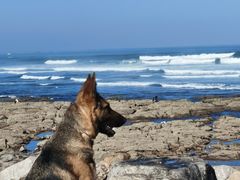 -哈桑二世清真寺