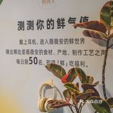 爆浆榴莲月饼🥮海南人民有口福了❗