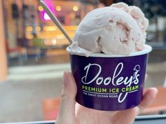 -Dooley's Premium Ice Cream