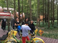 -黄海国家森林公园