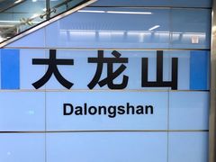 -大龙山(地铁站)