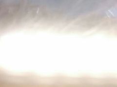 -文星素食(兴华路店)