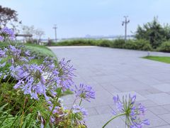 -金鸡湖景区