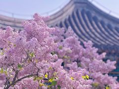 -颐和园
