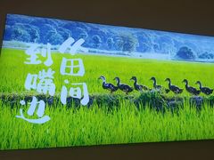 -杨厨的田园饭店(长城路店)