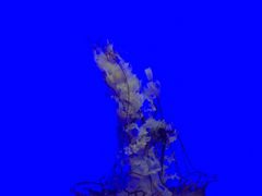 -上海海洋水族馆