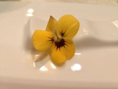 -绿杨春·淮扬宴(庐山路店)
