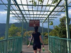 -呀诺达热带雨林