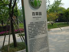 -昆山城市生态森林公园