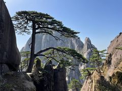 -黄山风景区