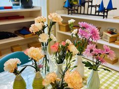 -金点蒙氏国际教育(悠然校区)