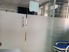 -天时宠物医院24小时疑难病例会诊中心(顾乡大街总院)