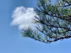-罗田天堂寨风景区