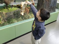 -国家自然博物馆