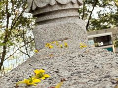 -杭州半山国家森林公园