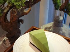 -王守财小山園