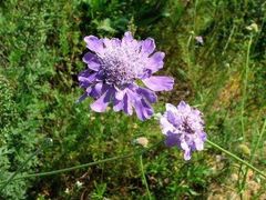 -青州市云门山风景区
