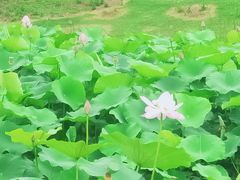 -滆湖低碳生态公园